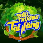 dau-truong-tai-nang