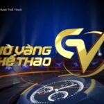 gio-vang-the-thao