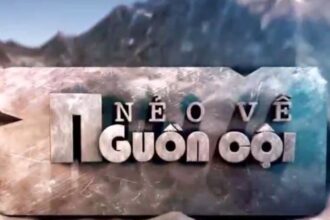 neo-ve-nguon-coi